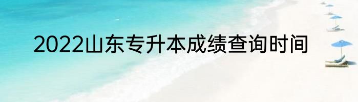 2022山东专升本成绩查询时间