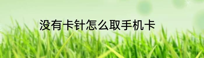 没有卡针怎么取手机卡