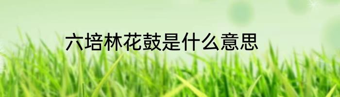 六培林花鼓是什么意思