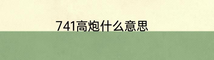 741高炮什么意思
