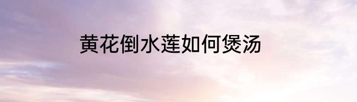 黄花倒水莲如何煲汤