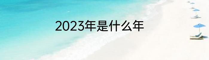 2023年是什么年
