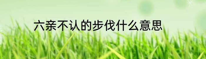 六亲不认的步伐什么意思