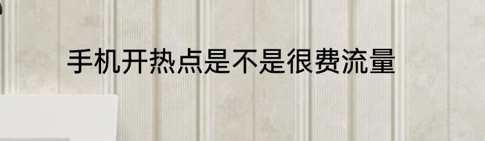 手机开热点是不是很费流量