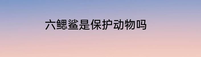 六鳃鲨是保护动物吗