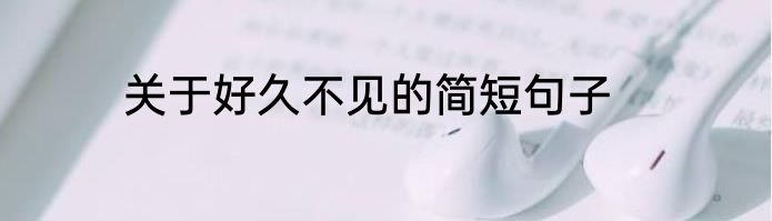 关于好久不见的简短句子