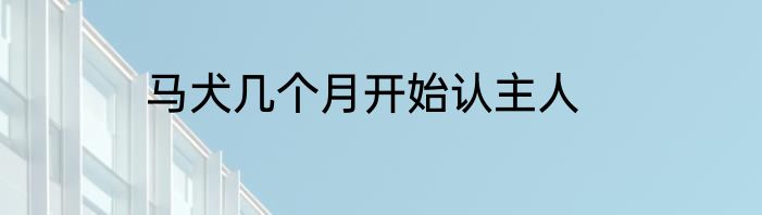 马犬几个月开始认主人