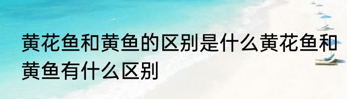 黄花鱼和黄鱼的区别是什么黄花鱼和黄鱼有什么区别