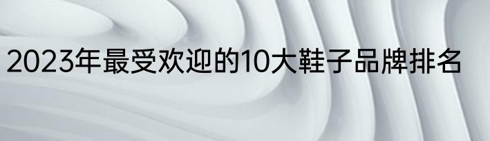 2023年最受欢迎的10大鞋子品牌排名