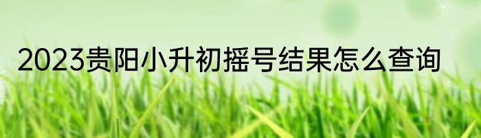 2023贵阳小升初摇号结果怎么查询