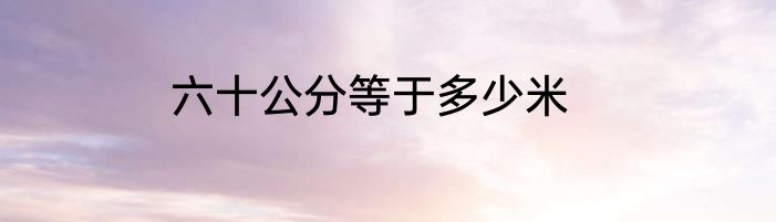 六十公分等于多少米
