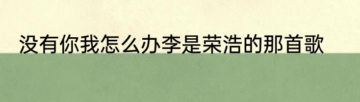 没有你我怎么办李是荣浩的那首歌