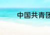 中国共青团的四项基本职能