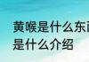 黄喉是什么东西的什么部位关于黄喉是什么介绍