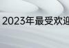 2023年最受欢迎的10大鞋子品牌排名