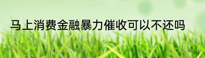 马上消费金融暴力催收可以不还吗