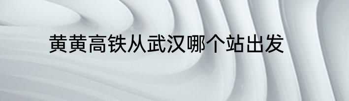 黄黄高铁从武汉哪个站出发