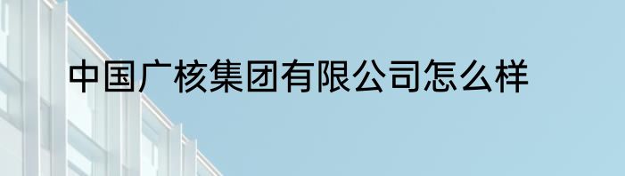 中国广核集团有限公司怎么样