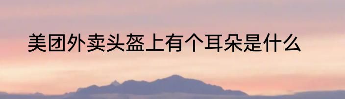 美团外卖头盔上有个耳朵是什么