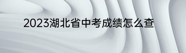 2023湖北省中考成绩怎么查