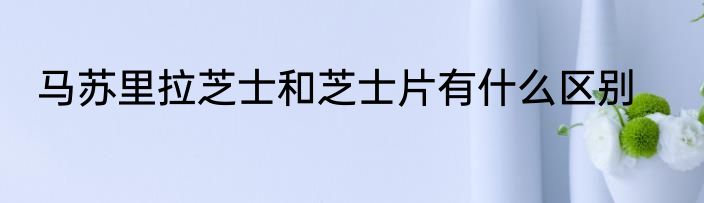 马苏里拉芝士和芝士片有什么区别