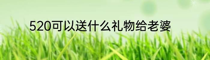 520可以送什么礼物给老婆