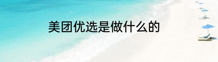 美团优选是做什么的