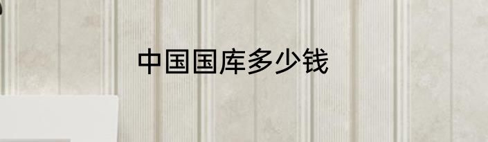 中国国库多少钱