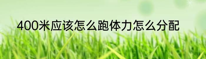 400米应该怎么跑体力怎么分配
