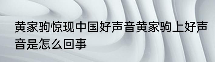 黄家驹惊现中国好声音黄家驹上好声音是怎么回事