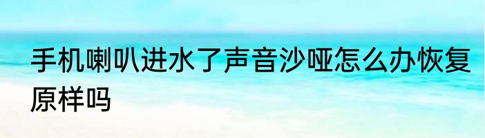 手机喇叭进水了声音沙哑怎么办恢复原样吗