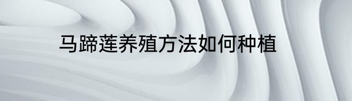 马蹄莲养殖方法如何种植