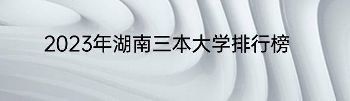 2023年湖南三本大学排行榜
