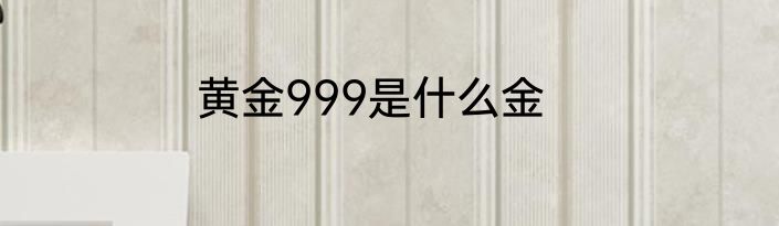黄金999是什么金