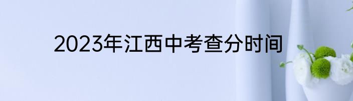 2023年江西中考查分时间
