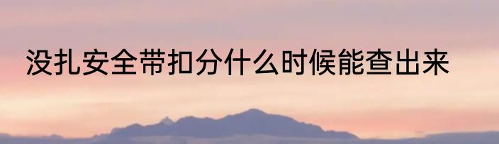 没扎安全带扣分什么时候能查出来