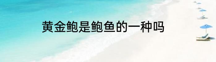 黄金鲍是鲍鱼的一种吗