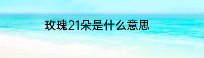 玫瑰21朵是什么意思