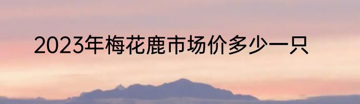 2023年梅花鹿市场价多少一只