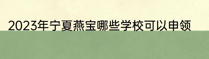 2023年宁夏燕宝哪些学校可以申领