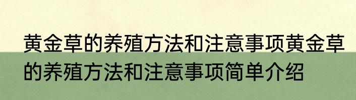 黄金草的养殖方法和注意事项黄金草的养殖方法和注意事项简单介绍