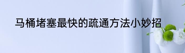 马桶堵塞最快的疏通方法小妙招