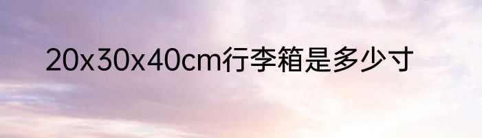 20x30x40cm行李箱是多少寸