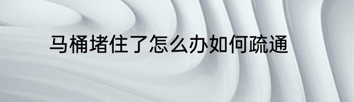 马桶堵住了怎么办如何疏通