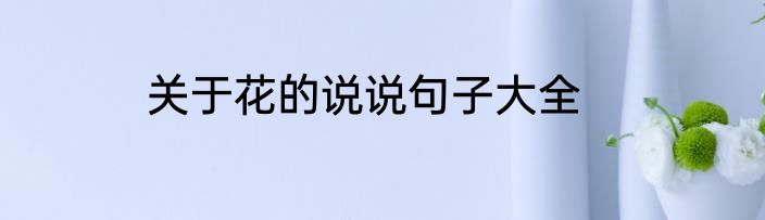关于花的说说句子大全