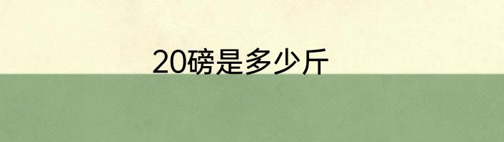 20磅是多少斤