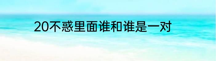 20不惑里面谁和谁是一对