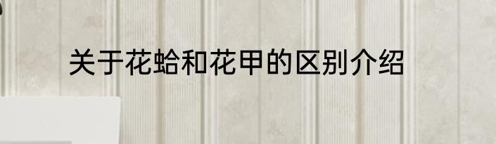 关于花蛤和花甲的区别介绍