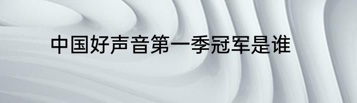 中国好声音第一季冠军是谁