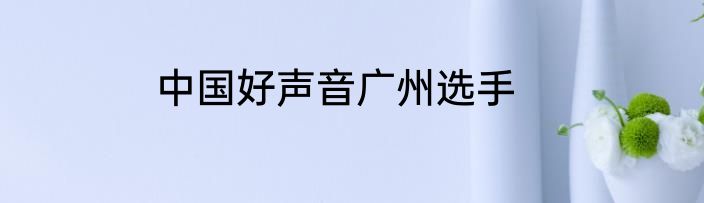 中国好声音广州选手